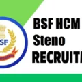 BSF HCM ASI Steno PST PET Result CBT Admit Card Exam Date 2024 Sarkari Result 2025