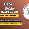 BTSC-work-inspector